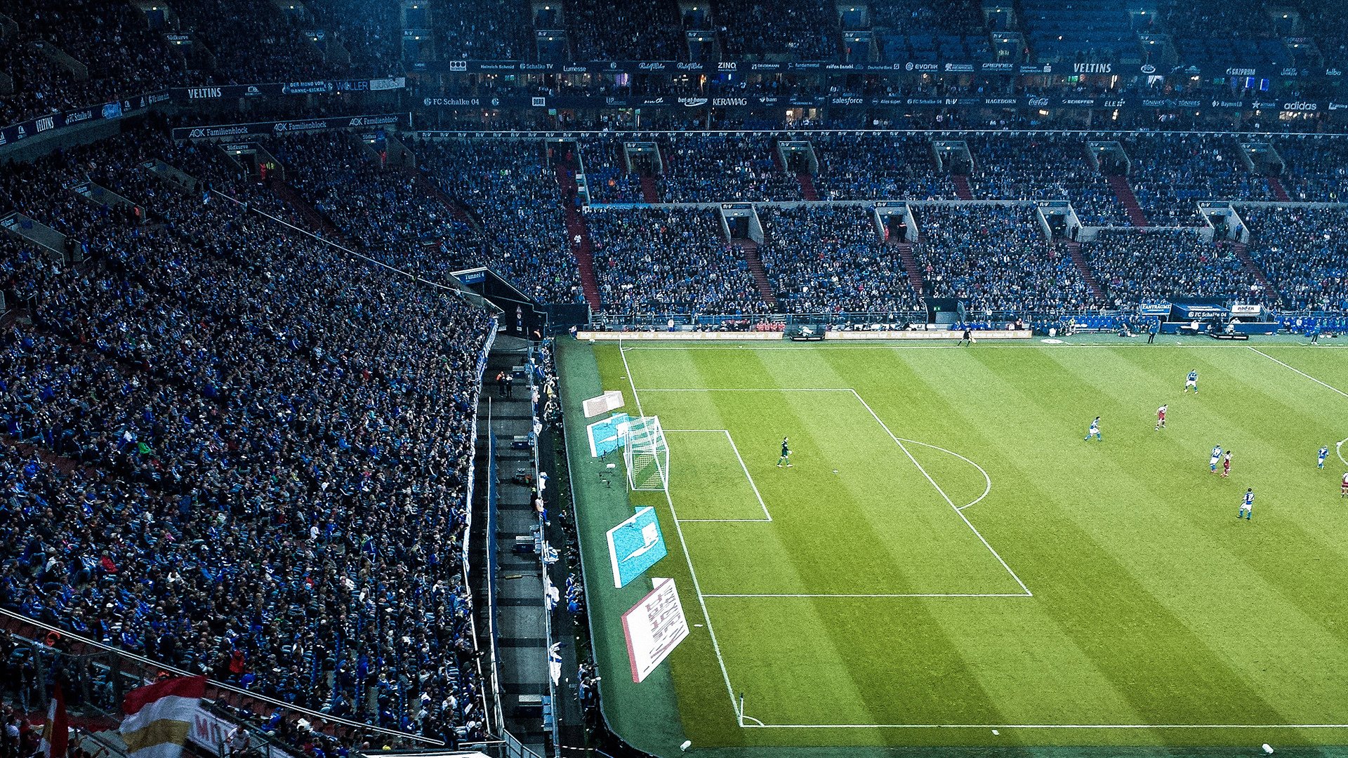 九游官网下载电脑版-_湿地赛场：别样风景中的激烈角逐_，2020湿地主题绘画大赛